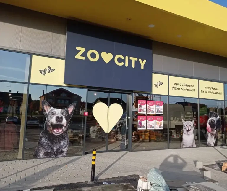 oslikavanje izloga trgovine folijama s motivima životinja – Zoo City Osijek