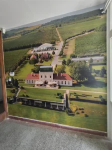 Folija za zid unutar vinarije