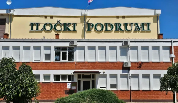 XXL svjetleća 3D slova za Iločku Vinariju